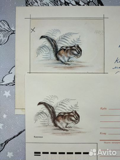 Хмк/Оригинал рисунка к конверту Исаков Бурундук