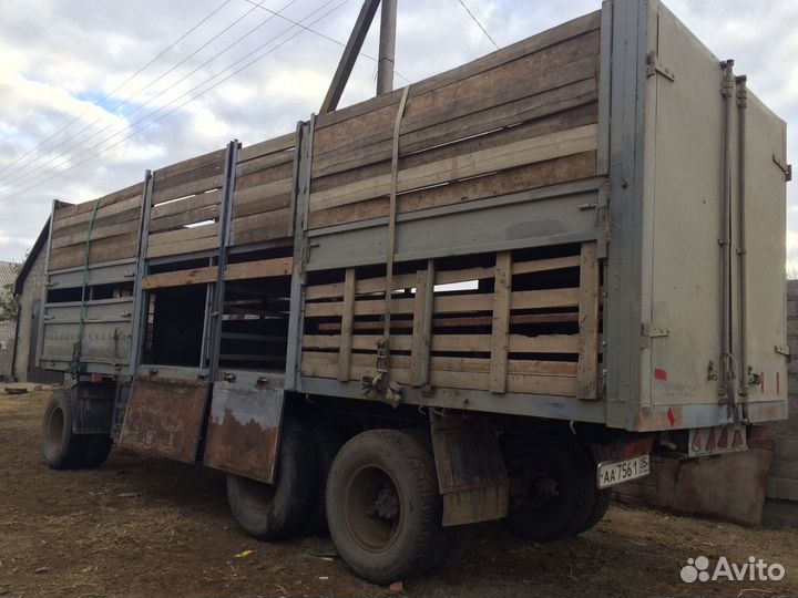 Скотовоз. Перевозка крупнорогатого и мелкорогатого