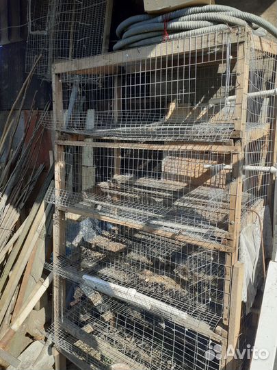 Клетка для перепелов