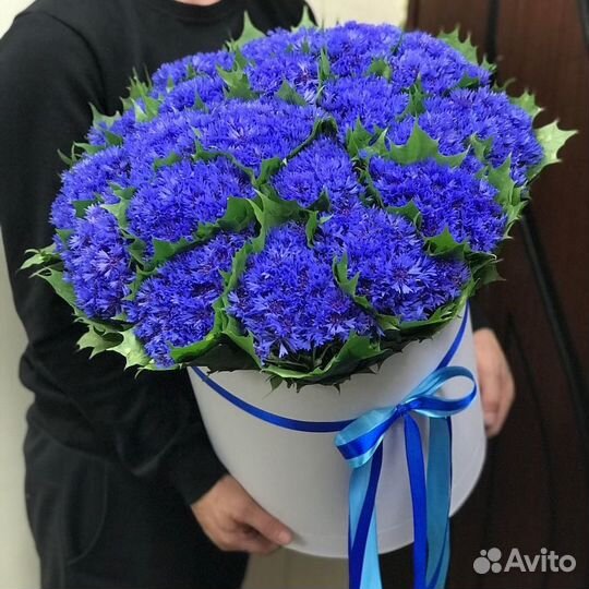 Букеты из васильков Васильки Доставка Композиции