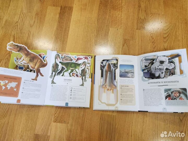 Книги энциклопедии виммельбух