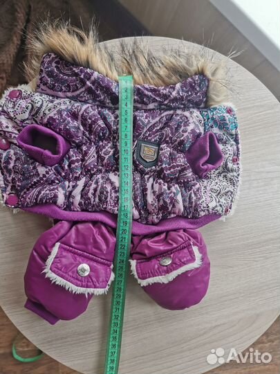 Одежда для собак мелких пород