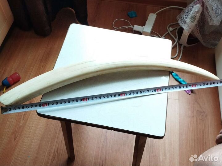 Зуб морского животного