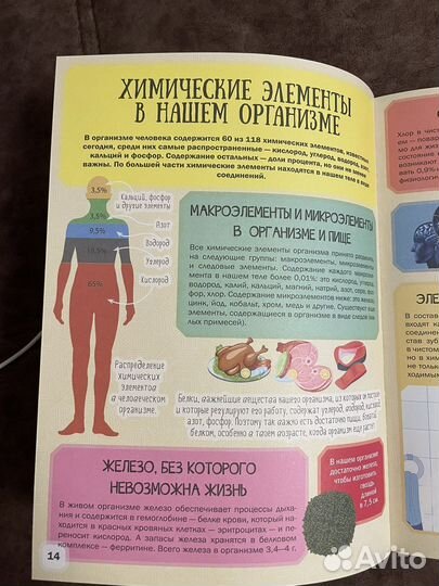 Детский Атлас анатомии человека новый