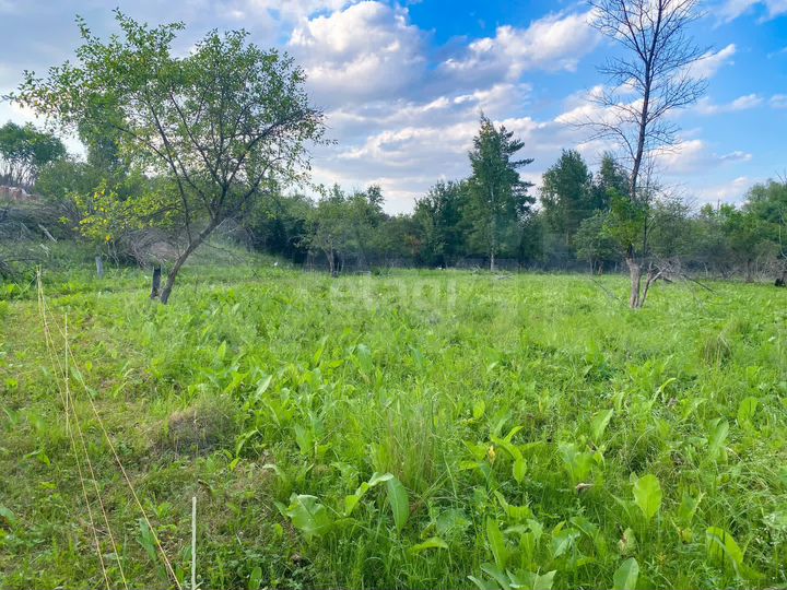 Участок 9,2 сот. (СНТ, ДНП)