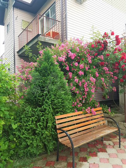 Дом 220 м² на участке 9 сот.