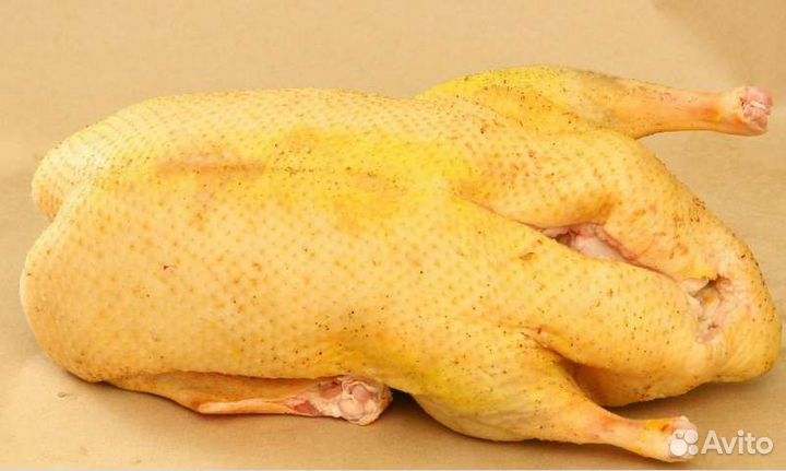 Обработка птицы