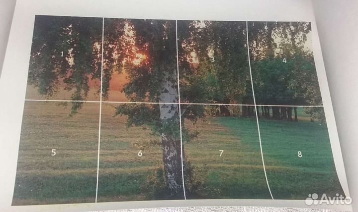 Фотообои одинокая берёзка