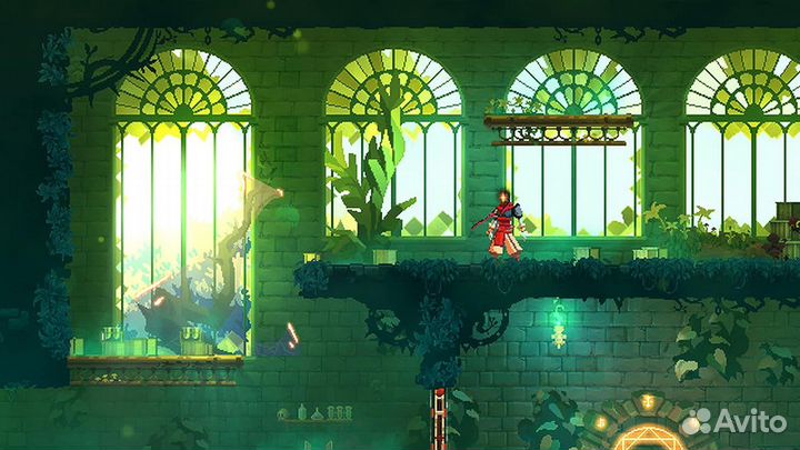 PS4 диск Dead Cells Return to Castlevania Edition