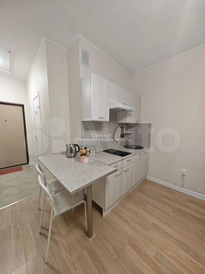 Квартира-студия, 22,5 м², 13/17 эт.