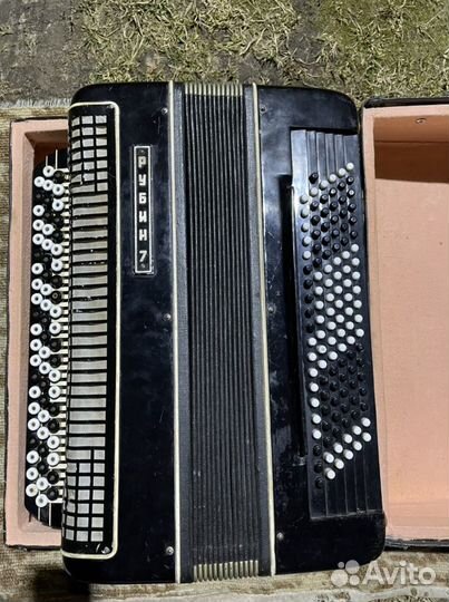 Баян рубин 7