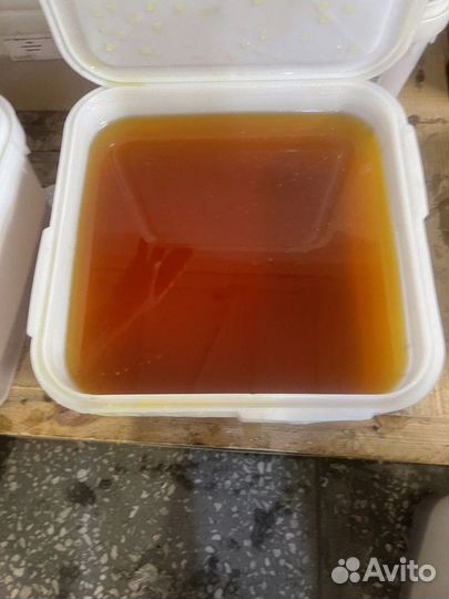 Свежий цветочный мёд оптом