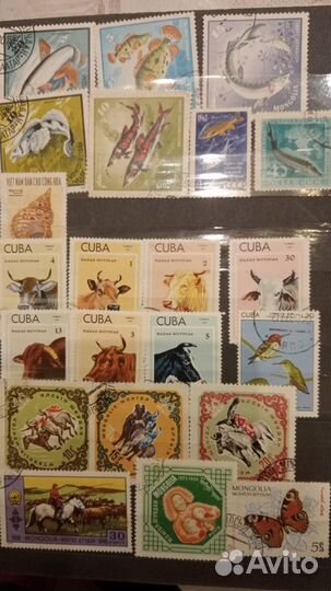 Марки флора и фауна разных стран