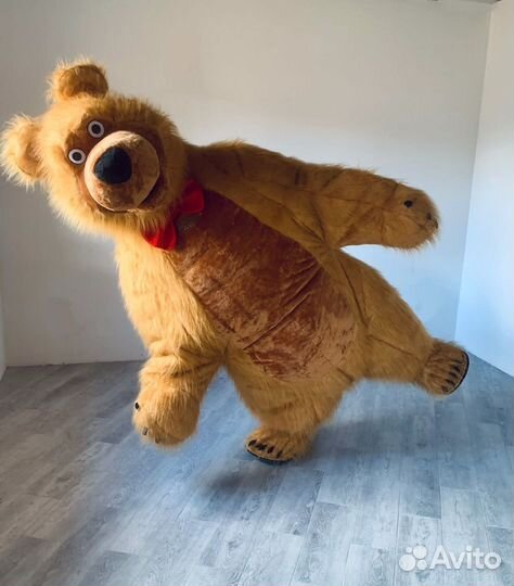 Бурый медведь поздравление на праздники