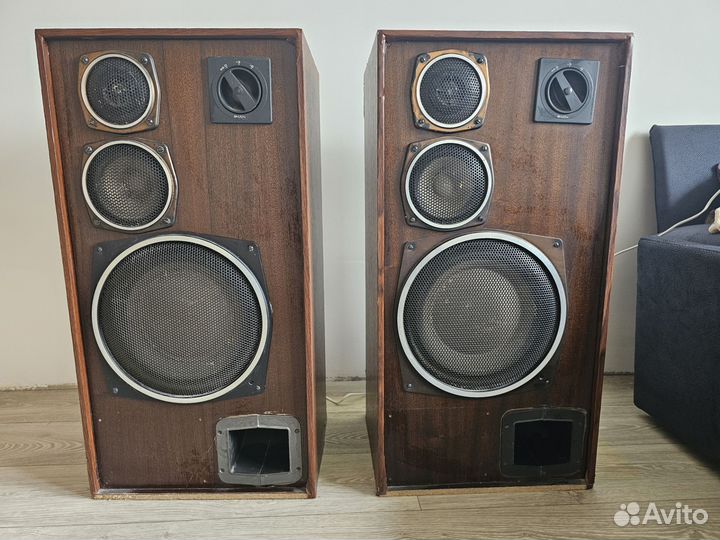 Акустические колонки radiotehnika S-90