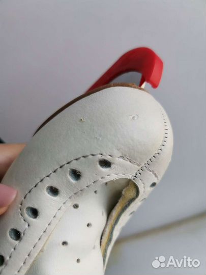 Фигурные коньки edea motivo 195