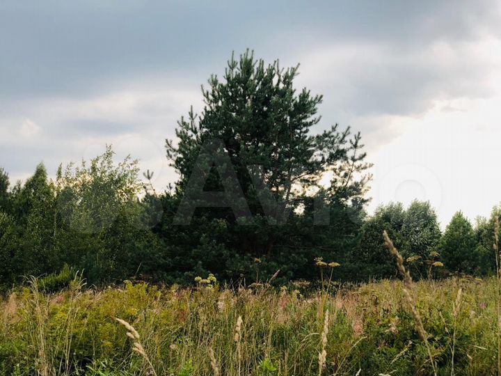 Участок 4,26 га (СНТ, ДНП)