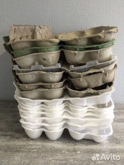 Яичные лотки