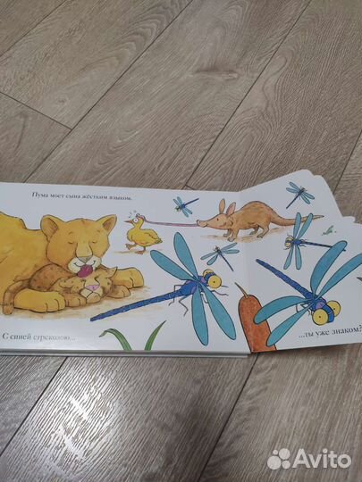 Книга Зоопарк Мэтью Ван Флит