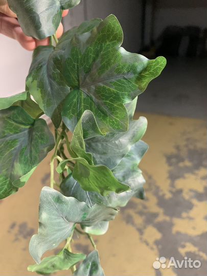 Декоративные растения искусственные