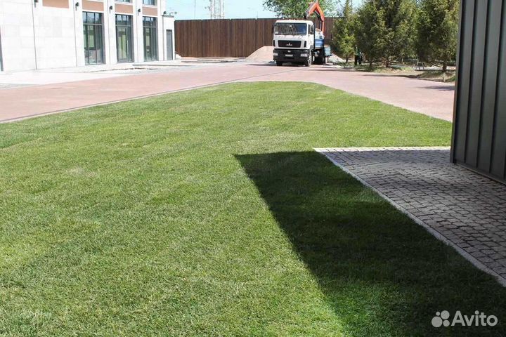 Укладка рулонного газона