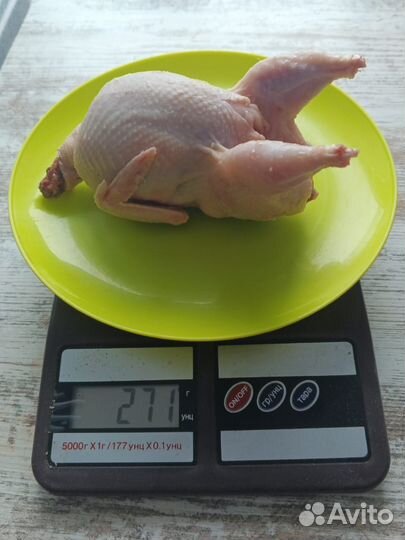 Перепелиное мясо