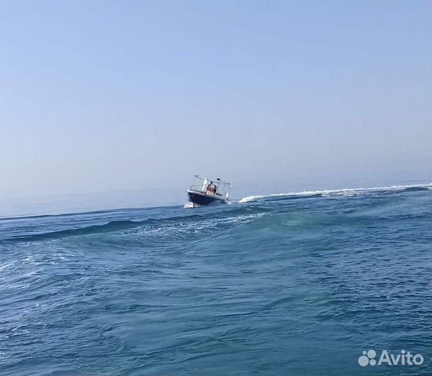 Катер прогулочный «Тунец»