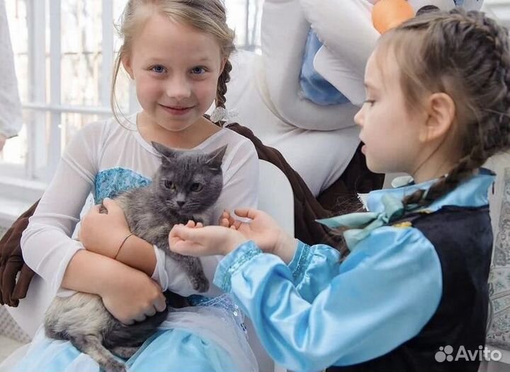 Фокусы с животными