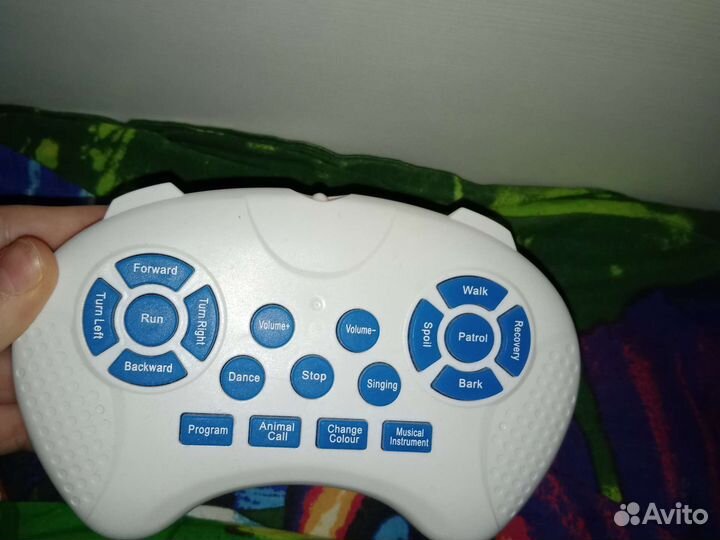 Собака робот