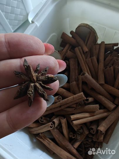 Корица для флористики