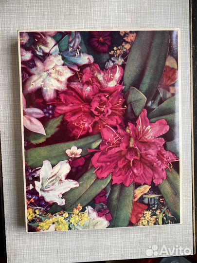 Спички СССР коллекционные