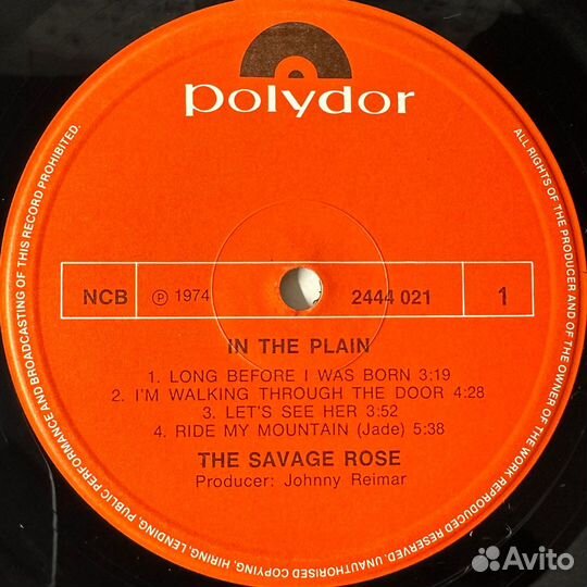 The Savage Rose – In The Plain (1974г.)