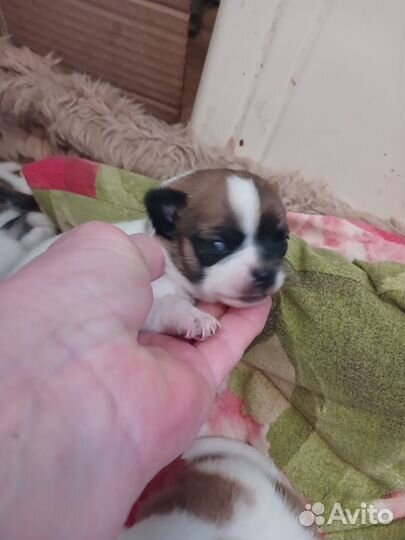 Бронирование