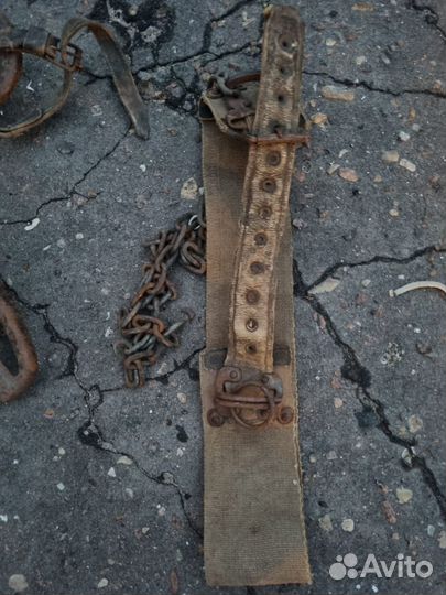 Кошки электрика