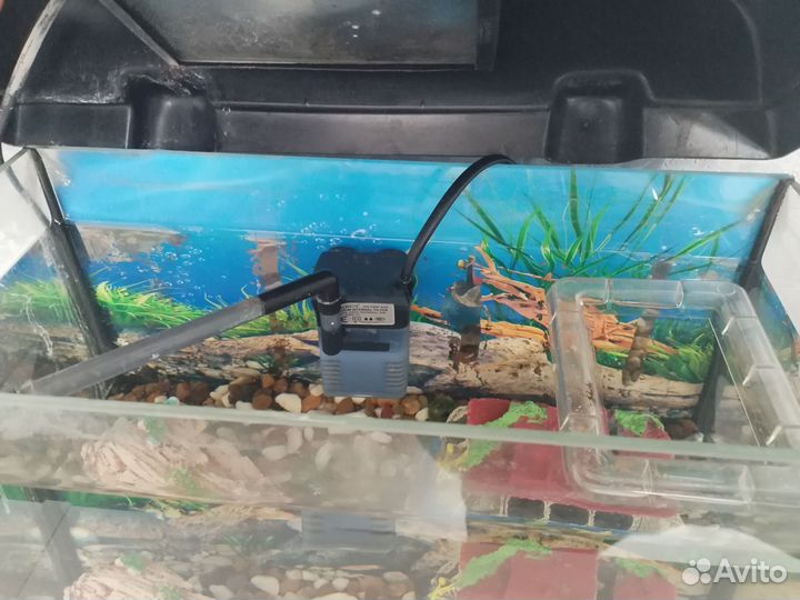Аквариум 10 литров