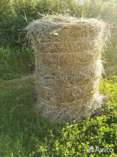 Сено в тюках