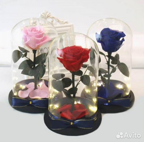 Розы в колбе разные