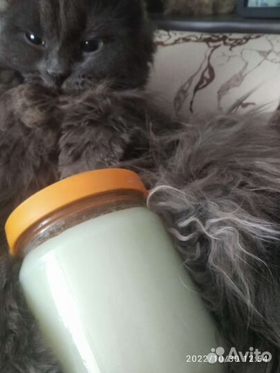 Барсучий жир