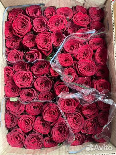 Доставка цветов по Сочи 24 часа