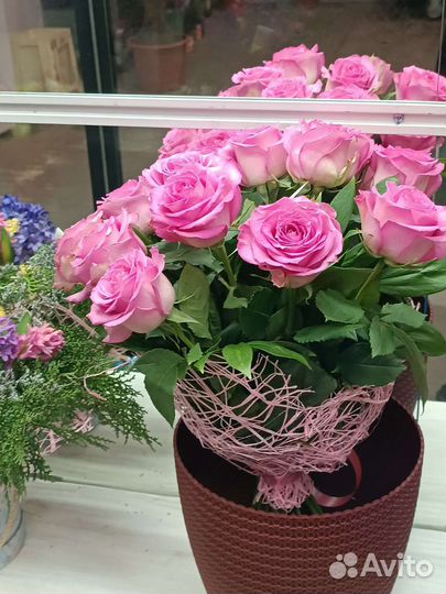 Розы Цветочки