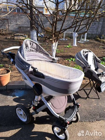 Детские коляски 2 в 1 adamex