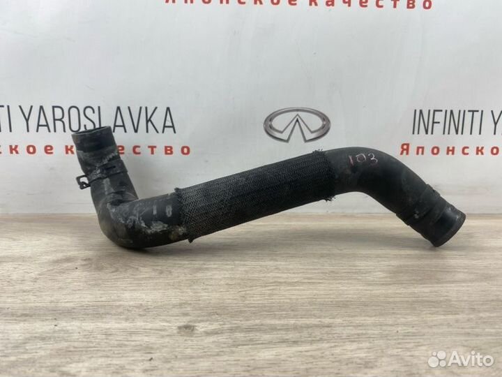 Патрубок радиатора Infiniti Qx56 Qx80 Z62 VK56VD