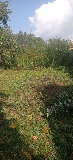 Участок 4 сот. (СНТ, ДНП)