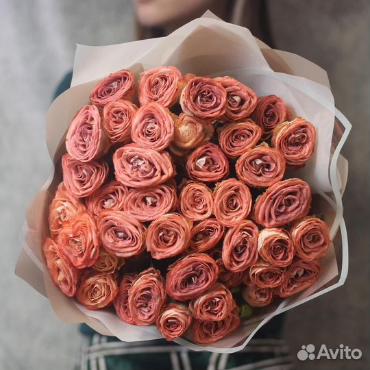 Цветы Розы кустовые