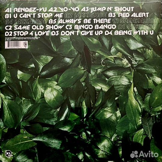 Виниловая пластинка Basement Jaxx - Remedy (Limite