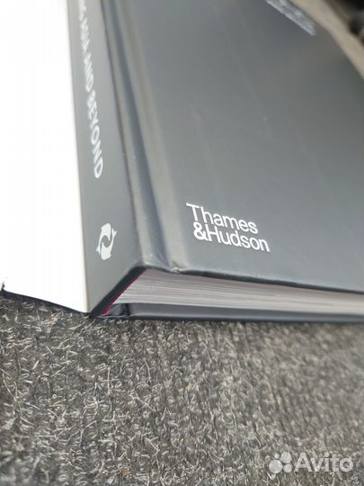 Книга Steve Leung: Designing Asia and Beyond