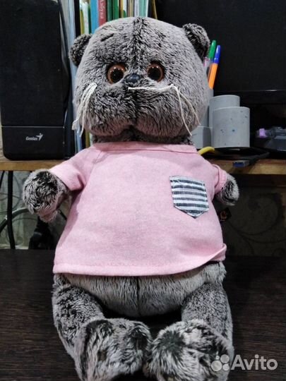 Коты басики