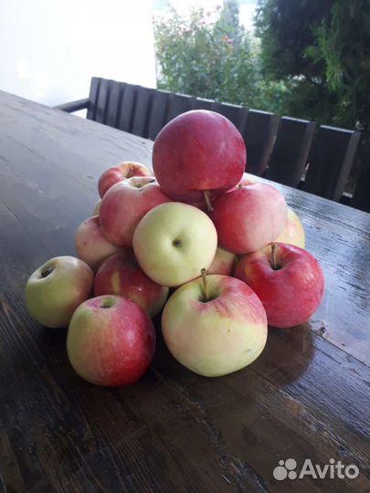Яблоки