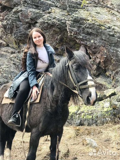 Конные прогулки