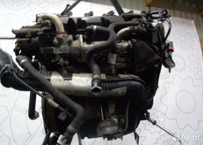 Двигатель Ford Kuga 2.0 G6DG